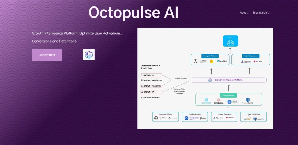 Octopulse AI